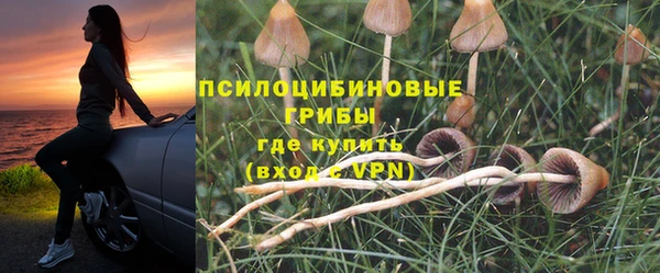 сатива Арсеньев