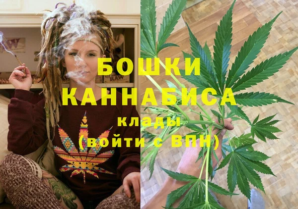 сатива Арсеньев