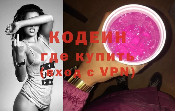 сатива Арсеньев