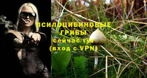 MDMA Premium VHQ Аркадак