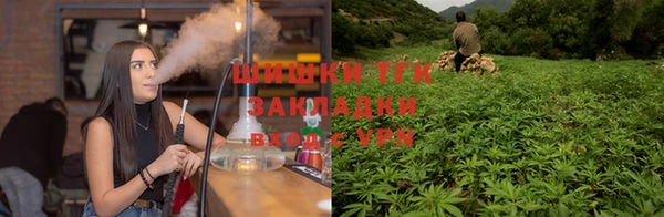 сатива Арсеньев