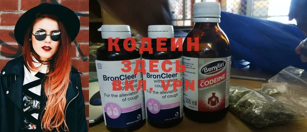 сатива Арсеньев