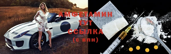сатива Арсеньев