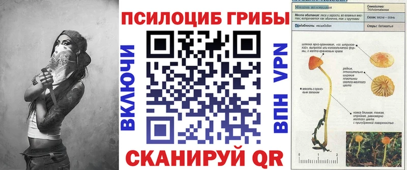 Псилоцибиновые грибы ЛСД  хочу   Буинск 